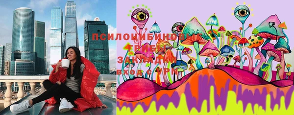 первитин Алексеевка