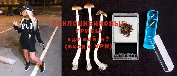 дживик Алексин