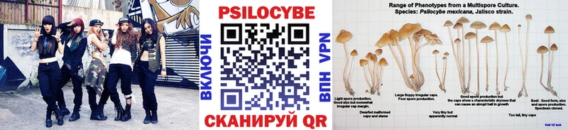 купить наркотик  Геленджик  Псилоцибиновые грибы Magic Shrooms 
