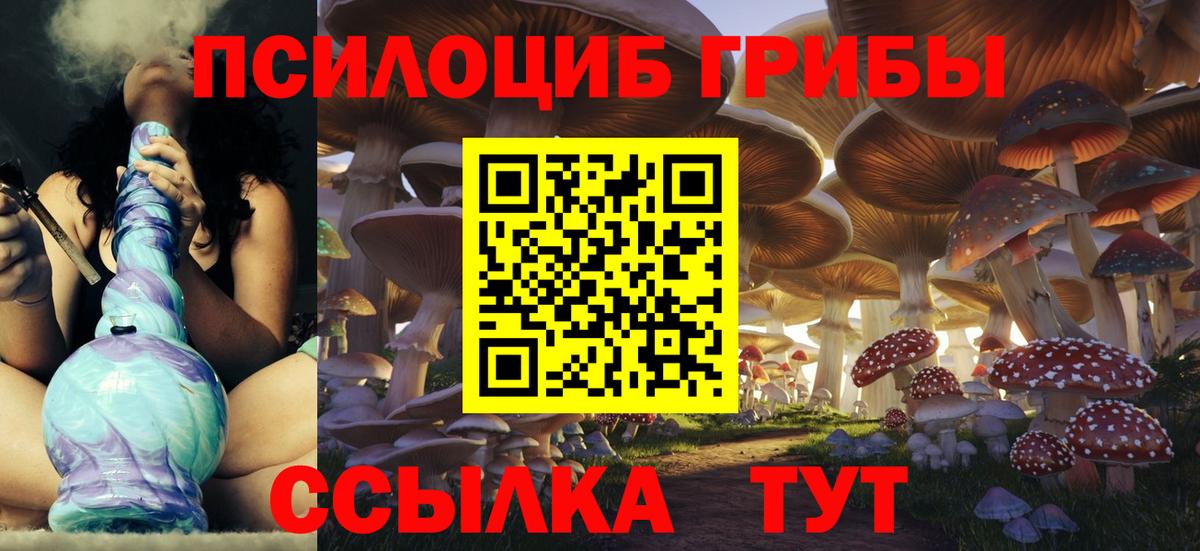 Галлюциногенные грибы Psilocybine cubensis Геленджик