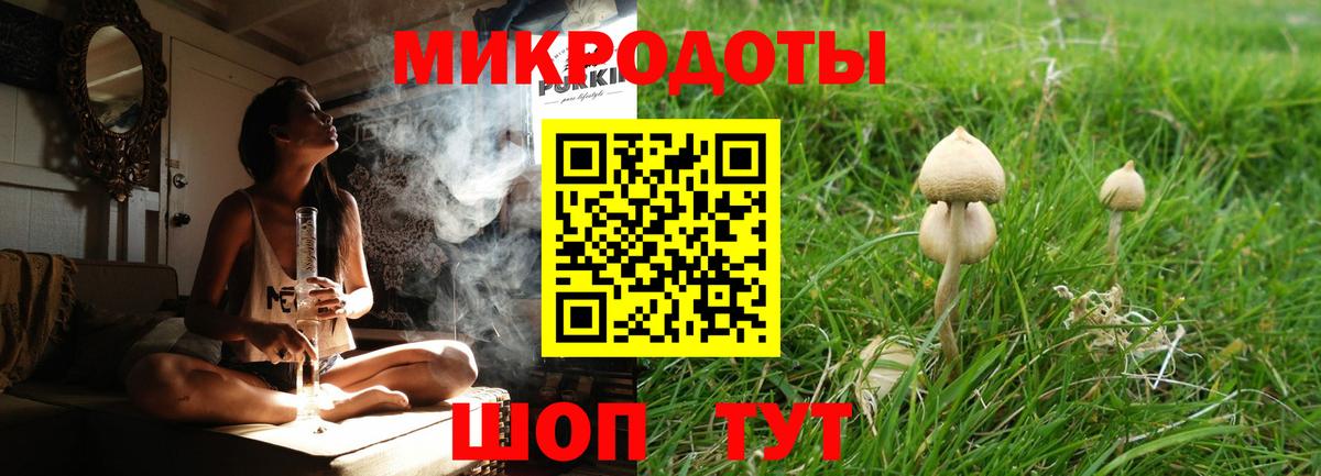 Геленджик  Галлюциногенные грибы MAGIC MUSHROOMS  Вход с VPN  Галлюциногенные грибы Cubensis 