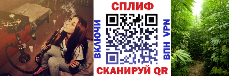 Шишки марихуана гибрид  хочу   Геленджик 